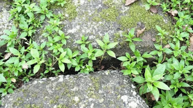 demarches-notariales